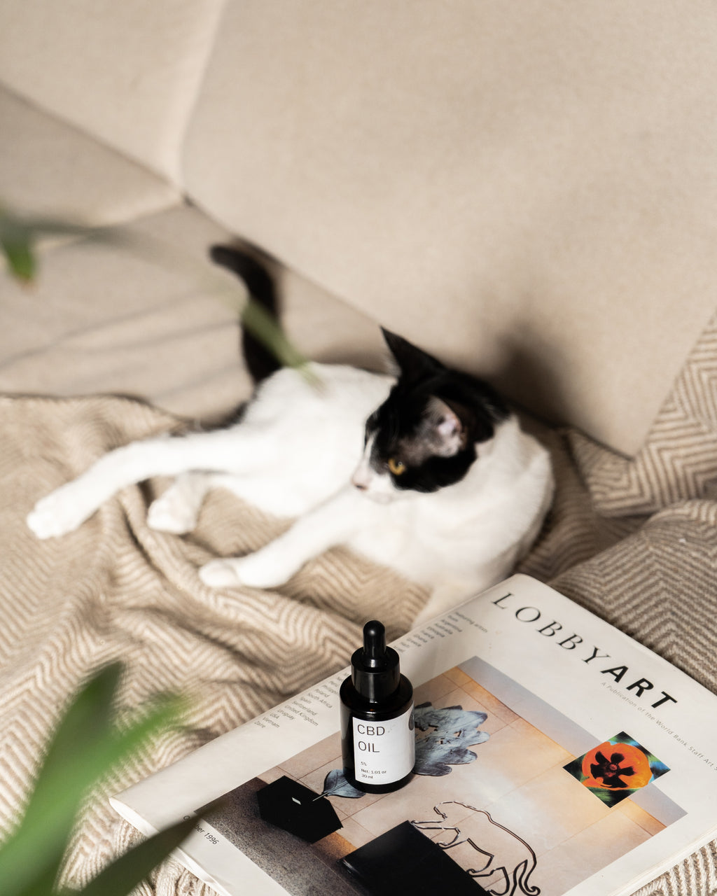 Aceite de CBD al 5% 30ml Mascotas