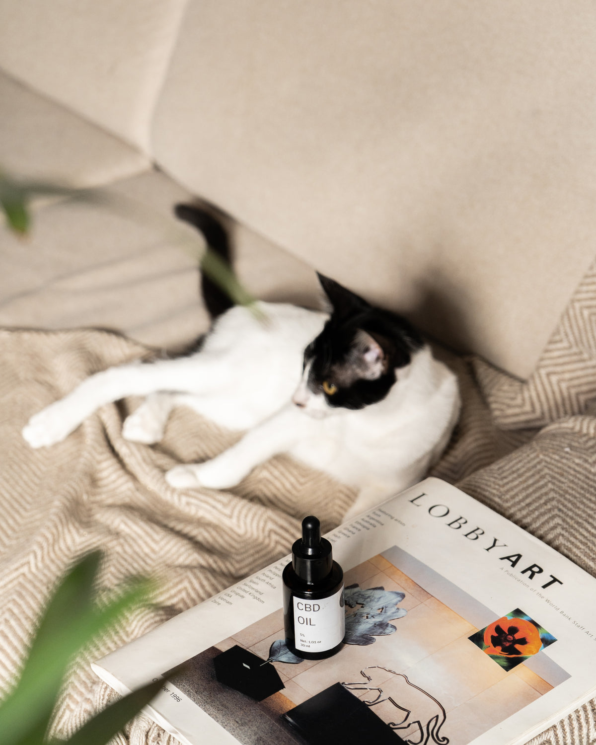 Aceite de CBD al 5% 30ml Mascotas